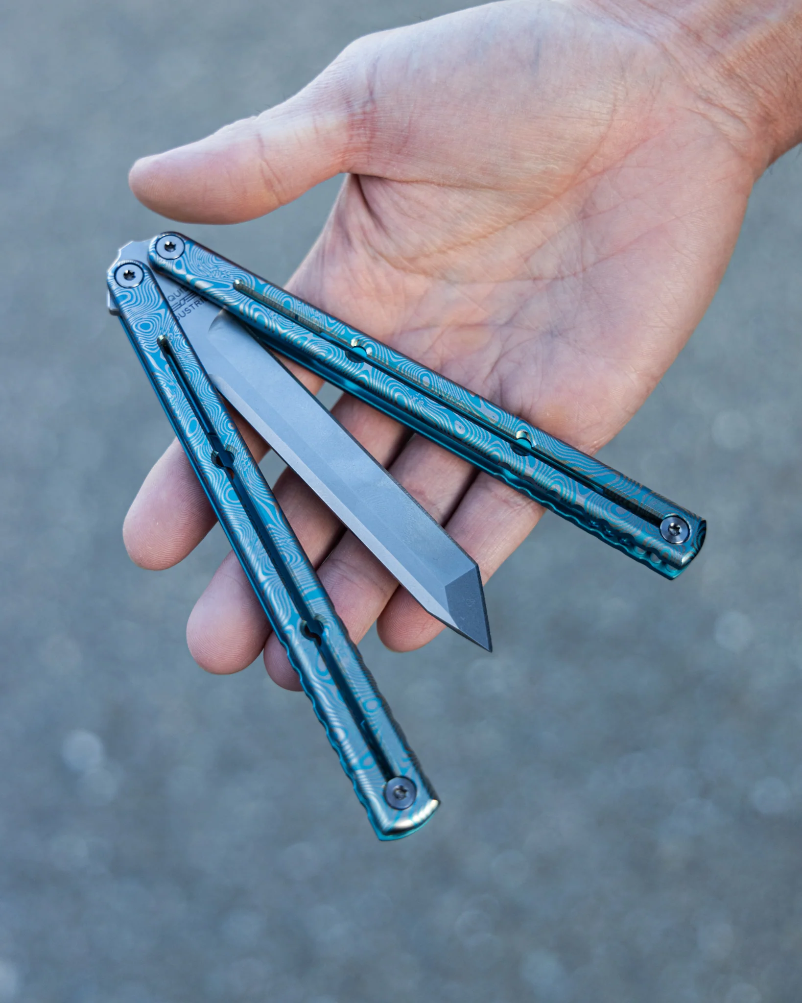 Etched Titanium Krake Raken Tanto - Image 11
